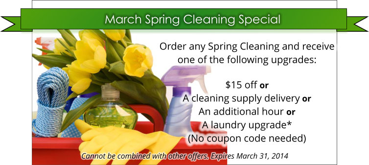 March Spring Cleaning Special